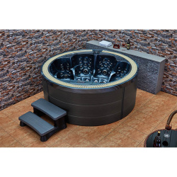 Гидромассажный спа бассейн Mexda WS-391S